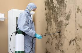 Mold Odor Removal Services in Rocklin, CA